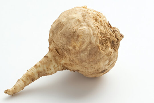 Single maca root is lying horizontally on a white background