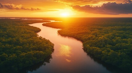 Sunset over a dense mangrove forest along a winding river, with the sky painted in shades of orange and pink