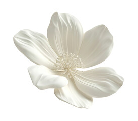 Elegant white flower floating in the air, on transparent  background. Cut out design element for beauty, festive themes. Blossom.