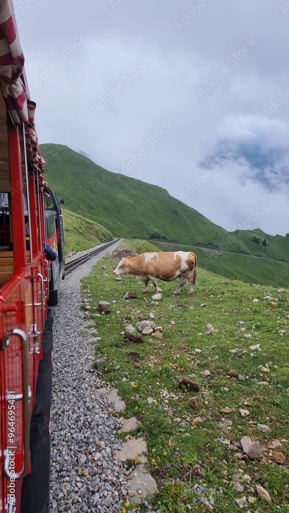 Wall mural train in the mountains and the cow