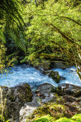 A small river  in Milford Sounds, New Zealand