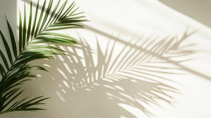 Lush Green Shadow Play