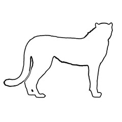 Cheetah Outline | Cheetah Illustration | Cheetah Drawing
