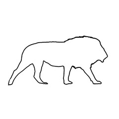 Lion Outline | Lion Drawing | Lion Illustration