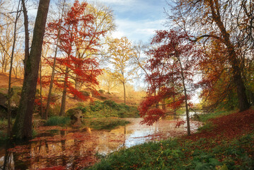Obraz premium Amazing autumn park (forest) with colorful trees and sunlight. autumn natural background