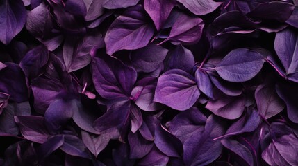Purple Leaf Background
