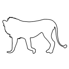 Lion Drawing | Lion Outline | Hand Drawn Lion