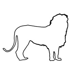 Lion Outline | Lion Illustration | Lion Drawing
