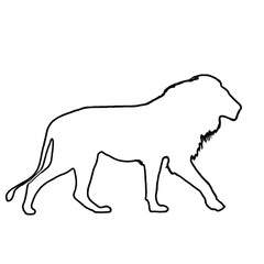Lion Outline | Lion Illustration | Lion Drawing
