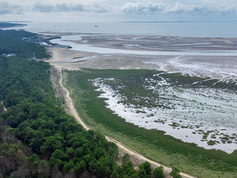 Vue a&eacute;rienne de la baie &agrave; mar&eacute;e basse. L'oc&eacute;an retir&eacute; laisse apparaitre le r&eacute;seau de chemins laiss&eacute; dans le sable de la baie. Au premier plan une dune avec des arbres et de la pelouse.