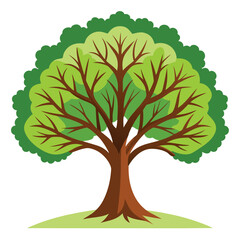 Beautiful Single Big Tree Vector Illustration