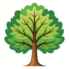 Beautiful Single Big Tree Vector Illustration