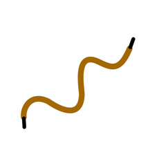 Shoelace illustration