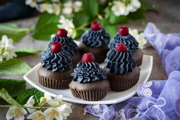 Sweet dessert: Cupcakes with black cream on a white plate. Chocolate cupcakes on a gray background. Close-up
