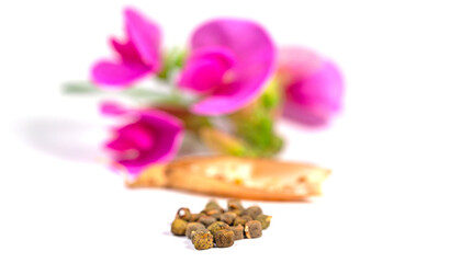 Wickensamen vor weißem Hintergrund