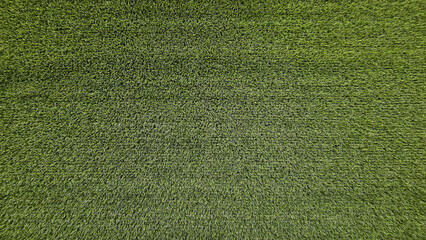 Green grass field for background. Lawn, Land, Surface, Natural wallpaper and Playing sport game area concept. Beauty of Nature.