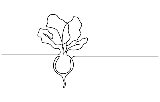 recommend clip art: Beetroot in continuous line art drawing style. Garden beet black linear sketch isolated on white background. One continuous line drawing whole healthy organic beetroot for plantation logo identity