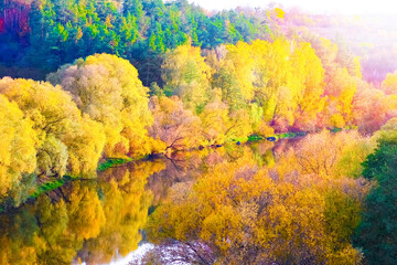 view trees autumn park nature