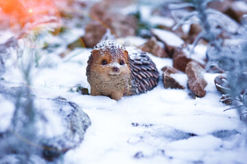 A Hedgehog in winter after hibernation in nature in the park background