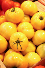 Yellow tomatoes on the store counter 