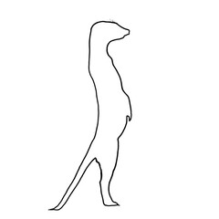 Meerkat Clipart | Meerkat Outline | Meerkat Icon