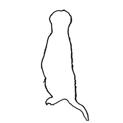 Meerkat Drawing | Meerkat Outline | Hand Drawn Meerkat