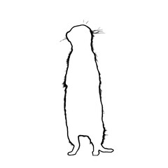 Meerkat Outline | Meerkat Illustration | Meerkat Drawing