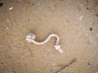 Abgerissenes Stück Tau am Strand auf dem Sand liegend.