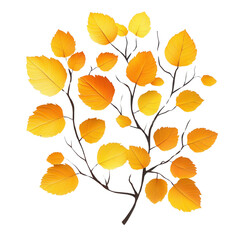 Obraz premium Bright autumn leaves on branches in vivid shades of orange and yellow against a white background, symbolizing seasonal change and nature.
