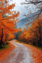 Obraz premium A road with trees on both sides and leaves on the ground. The leaves are orange and the sky is cloudy