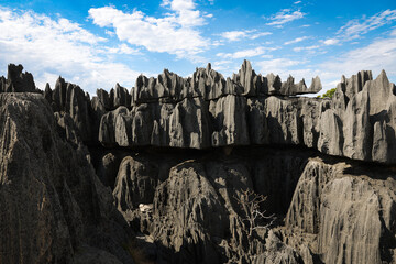 Explore the unique limestone formations in Tsingy de Bemaraha National Park, Madagascar during a sunny afternoon