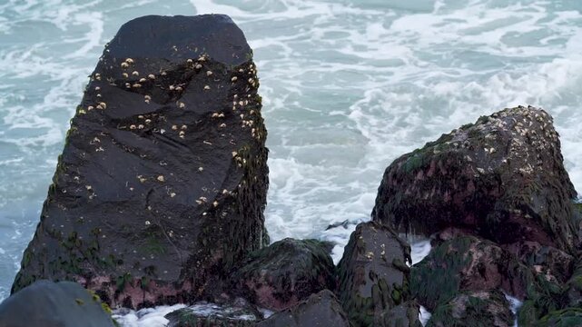 rocks on the beach