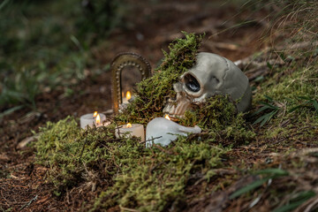 Halloween atmosphere and magical rituals in the middle of the forest with skeletons and enchanted mirror alluding to the other world, candles, moss and autumnal feeling 