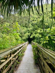 Brücke im Wald 