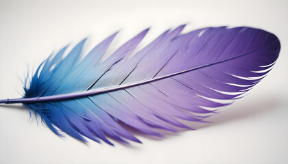 A vibrant blue and purple feather against a white background