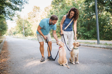 Mature couple enjoys walk in the park, cuddling their dogs