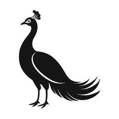 Fototapeta premium a minimalist peacock silhouette vector illustration, isolated white background. 
