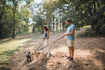 Couple guiding dogs on leashes
