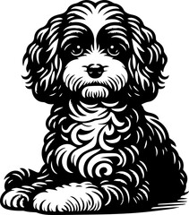  Cavapoo icon