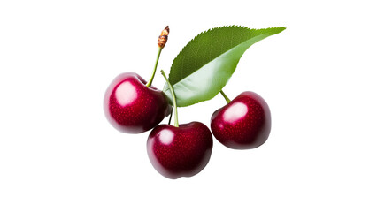 Vibrant cherries coupled with lush green leaves  on white transparent background