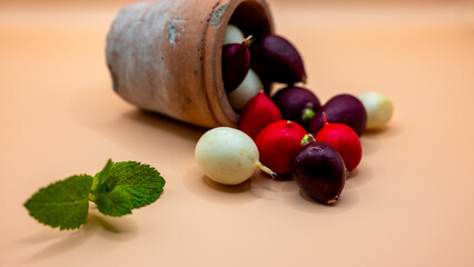 Different coloured fresh radishes