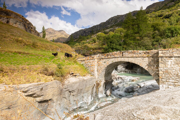 La rivière de l'arc au Parc National de la Vanoise en France