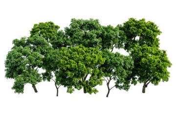Fototapeta premium A cluster of green trees against a clean white background, perfect for decoration or illustration purposes