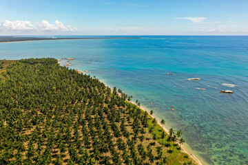 Aerial view of beach, clear ocean and palm trees in Pasikuda, Sri Lanka