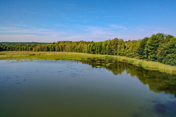 Seenlandschaft mit Seerosen, Biotop