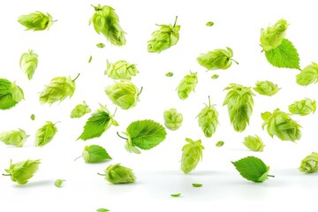 A bunch of green hops in mid-air, suitable for use as a design element or illustration