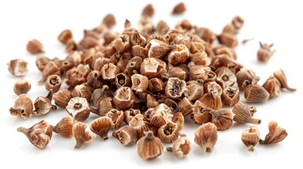 A selection of dried nuts arranged on a clean white surface