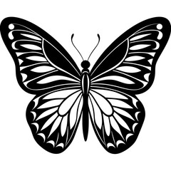 Butterfly Silhouette Vector Art Illustration