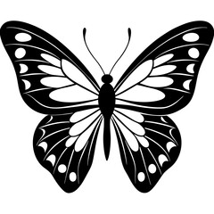 Butterfly Silhouette Vector Art Illustration