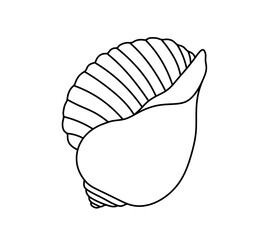 Vector isolated one single simple beautiful sea shell colorless black and white contour line easy drawing